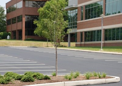 Corporate lot paving experts